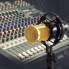 Микрофон студийный конденсаторный M-800